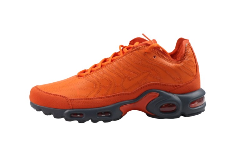 NIKE-AIR-MAX-PLUS-TN-FLAME-3.jpeg