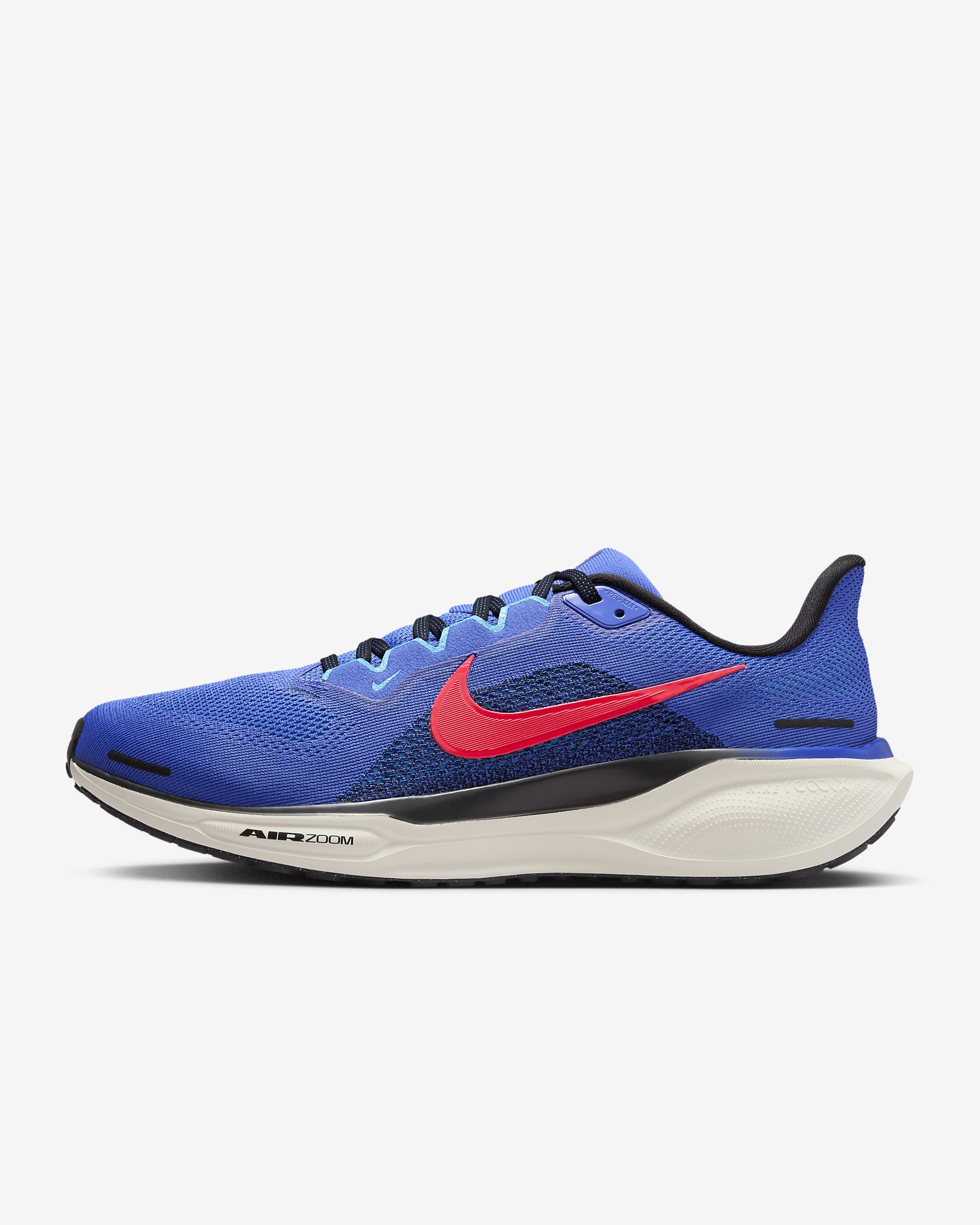AIRZOOMPEGASUS41.jpg
